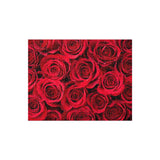 Roses Jigsaw puzzle