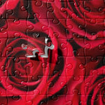 Roses Jigsaw puzzle